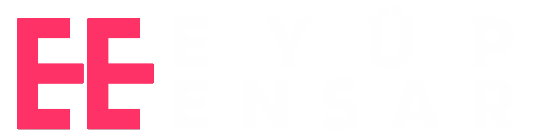 Eyüp Ensar'a Nefes Ol